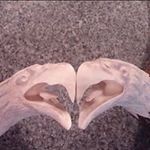 Joe Carver - @dennis.henry75 - Instagram
