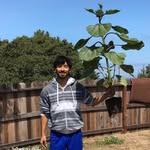 Joe Casarez - @proudflowerdaddy - Instagram