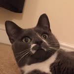 Joe Cates - @smellycates - Instagram