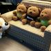 Joe Chau - Facebook
