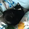 Joe Chau - @joe_chau98 - TikTok