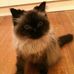 Jo Chilcott - Facebook