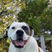 Joe Chism - Facebook