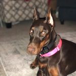 Joe Christman - @christman1175 - Instagram