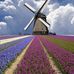 Joe Chua - Facebook