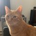 Joe Clapper - Facebook