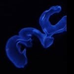 @joeclapp_1 - Instagram