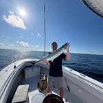 Joe Clement - @joe.clem28 - Instagram