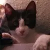 joecoe35 - @joecoe35 - TikTok