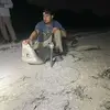 josephcoe0106 - @joecoe_7 - TikTok