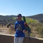 Joe Colosimo - @authorcolosimo - Instagram