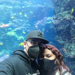 Joey Colosimo - @ceelo24 - Instagram