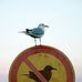 Joe Columbo - Facebook