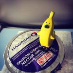 一日・一ハワイ   -ハワイブログ- - @joecool_hawaii - Instagram