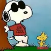 JOE COOL - @joey_cool1950 - TikTok