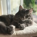 Joey - @joe_coon_gram - Instagram
