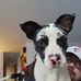 Joe Coons - Facebook