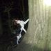 Joe Coons - Facebook