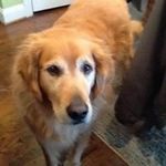 Joe Corbin - @corbin3780 - Instagram
