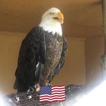 Joe Corbin - @corbinatorjoe.corbin - Instagram