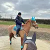 Joe corn - @corn.joe - TikTok