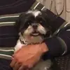 traderjoecornpuff - @traderjoecornpuff - TikTok