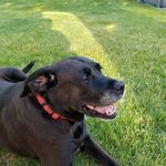 Joe Costanza - @joec8356 - Instagram