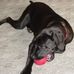 Joe Costanza - Facebook