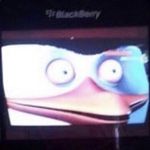 Cotten Eye Joe - @cotten_eye_joe97 - Instagram