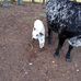 Joe Cotten - Facebook