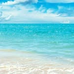 Joe Covert - @gman.covert - Instagram