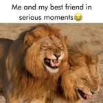 Joe Crank - @crank3753 - Instagram