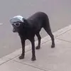 joe.c.ray36 - @joe.c.ray36 - TikTok