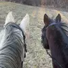 crim&joe - @crim_and_joe - TikTok