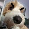 joecrim - @joecrim - TikTok