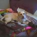 Joe Croce - Facebook