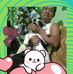Joey Crystal - Facebook