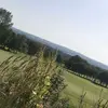 user8183522614361 - @joedarbyshite2004 - TikTok