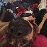 Joe Dark - @joedark78 - Instagram