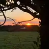 Joe dear - @joedear22 - TikTok