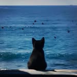 @joedearja - Instagram