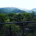 joe deere - @joedeere11 - Instagram