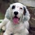 Joe Deese - Facebook