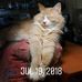 Joseph Deese - Facebook