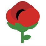 Joe DeFazio - Facebook
