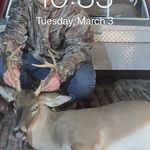 Joe denney - @joedenney05 - Instagram
