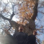 Joe Denney - @joe_denney_ - Instagram