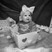 Joseph Denney - Facebook