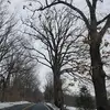 joedepetro8 - @joedepetro8 - TikTok