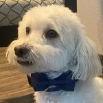 Joe DeRose - @derose1972 - Instagram